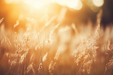 Wild grass in the forest field at a wonderful sunset. Macro image, shallow depth of field. Abstract summer nature background - Generative AI