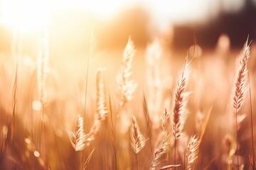 Wild grass in the forest field at a wonderful sunset. Macro image, shallow depth of field. Abstract summer nature background - Generative AI