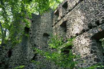 Low angle shot of Ramstein Castle in a green forest in Kordel, Germany