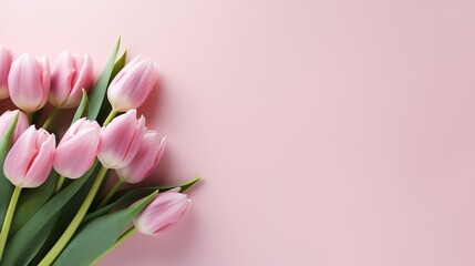Tulips with copy space background