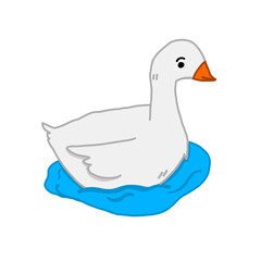 white duck on white water 