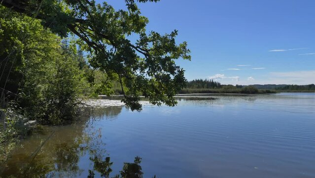 Naturschutzgebiet Maisinger See bei Maising, Oberbayern, Bayern, Deutschland, Europa