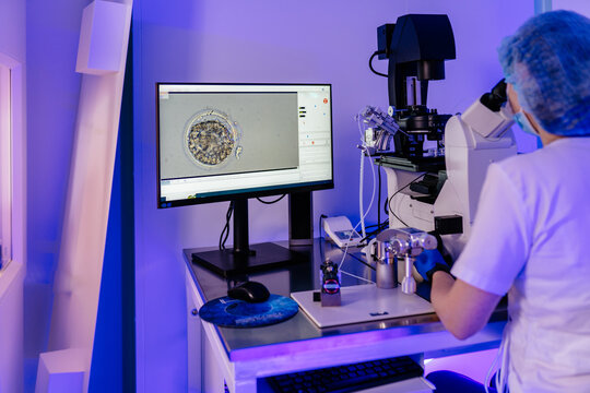 Female scientist embryologist, assisted reproductive technologies, using microscope fertilization vet examining sample through microscope in embryology laboratory. Healthcare and medical concept