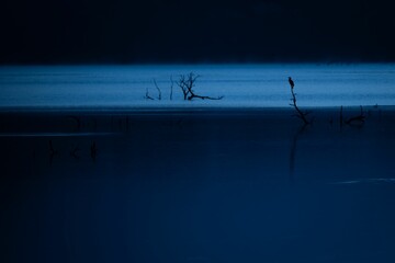 Dramatic view of a desolate lake with dry and dead vegetation, surrounded by a barren landscape