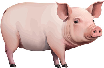 Vector illustration of a realistic cute pink pig viewed from the side