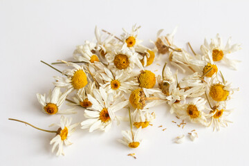 flowers dried chamomiles on a white background, close-up