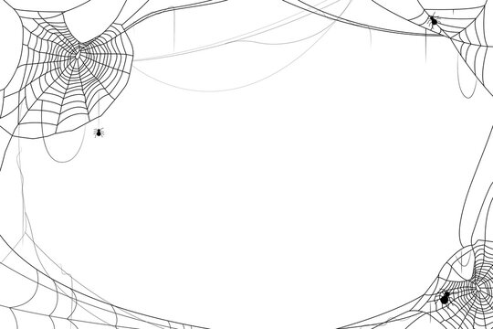 Spider cobweb border design frame Halloween background decoration, PNG file