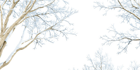 Branches of a tree in snow on white