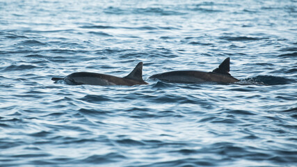 Obraz premium Travel