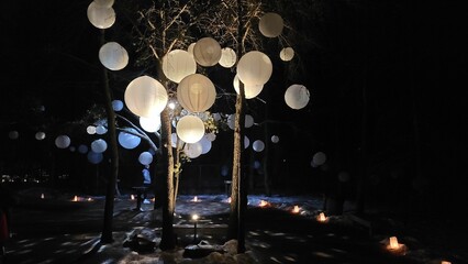 Closeup shot of white lanterns hanging n a tree on the street at nighttime