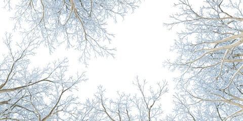 Isolated branches of a tree in winter on white background
