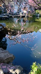 a lake with pink flowers sitting on top of it surrounded by a stone path