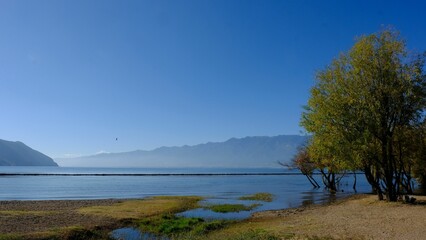 a very beautiful lake and some pretty trees in it's foreground