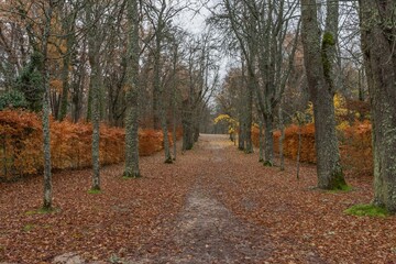 Beautiful autumn scenery at the royal palace of San Idelfonso in Segovia