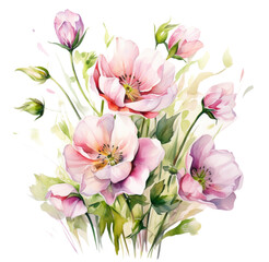 Watercolor illustration of cherry blossom branch Generative AI, png image.