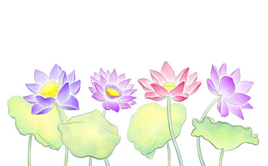 Colorful lotus flowers isolated on transparent background, watercolor illustrations