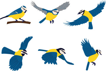 set of tits in flat style on white background, vector © zolotons