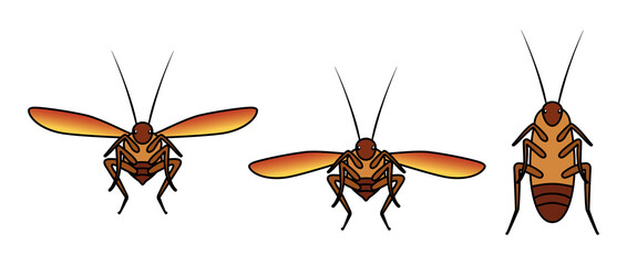 Set of cockroaches frontal view cartoon illustrations, standing and flapping wings isolated