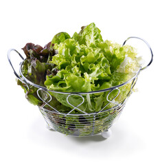 Ensalada de escarola en cesto de  hierro sobre fondo blanco. Endive salad in iron basket on white background. - obrazy, fototapety, plakaty