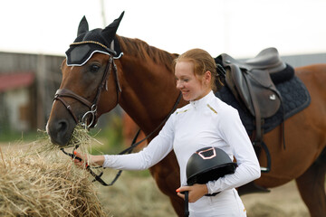 Woman rider jockey feeds horse at stable