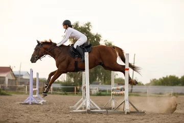 Foto op Canvas Side view of dressage horse in harness with female rider jockey in helmet and white uniform during jumping competition © primipil