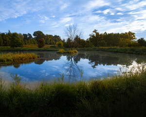 Pond at Logan Springs Preserve