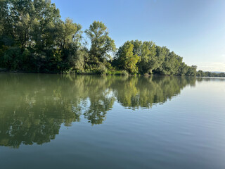 reflection of trees in water