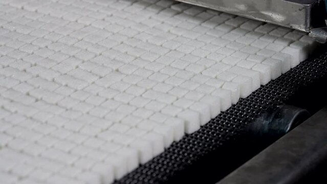 Refined sugar production. Industrial refined sugar packaging conveyor line. Refined sugar on the assembly line