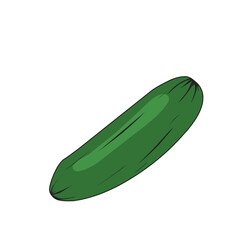Cucumber Vector Illustration 