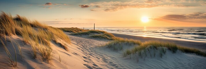 Golden serenity. Tranquil evening on sandy coast. Coastal dreams. Sun kissed dunes by sea. Horizon haven. Embracing beauty of north sea - obrazy, fototapety, plakaty