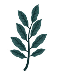 exotic leaf plant fronds