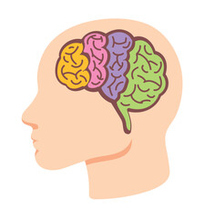 profile brain mind