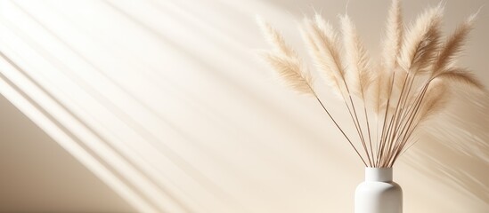 Minimalist Parisian floral arrangement with dried pampas grass reeds and soft sunlight shadows on a neutral wall