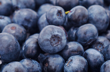 Fresh blueberries.