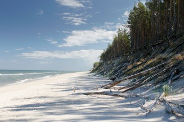 The coast of the Baltic Sea