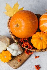 Autumn composition for Thanksgiving Day, still life background. Pumpkin harvest in basket, vegetables, patissons, autumn leaves, red berries on white kitchen table. Fall decoration design.