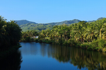 coconut trees over the river with mountain and blue sky on the background