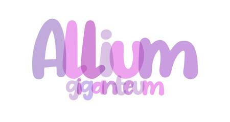 Allium giganteum, giant onion, decorative onion flower, elegant,  lilac, purple tones typography background, label, sticker, text design, sign, white background, tag, transparent lettering typography