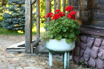 red geranium flowers in flower box close up photo on country house porch background