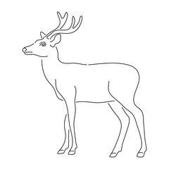 Deer in doodle style. Icons sketch hand made. Vector editable stroke.