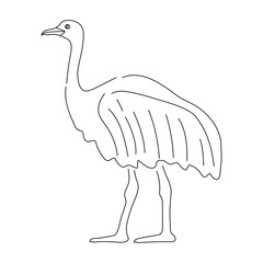 Hand drawn illustration of a Ostrich. Vector editable stroke.