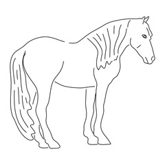 Horse illustration in hand drawn design. Vector editable stroke.