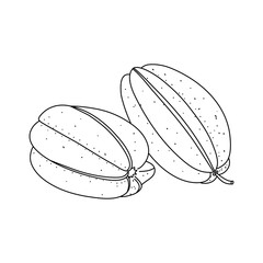 Carambola Star fruit doodle isolated on white background, hand drawn starfruit design element