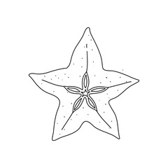 Carambola Star fruit doodle isolated on white background, hand drawn starfruit design element