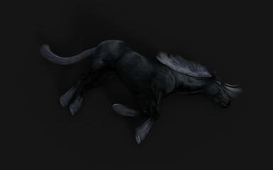3d Illustration of Black horse with black mane on black background with clipping path.