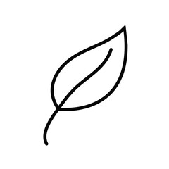 Leaf line icon, leaf outline icon vector, leaf icon flat trendy vector illustration isolated on white background.