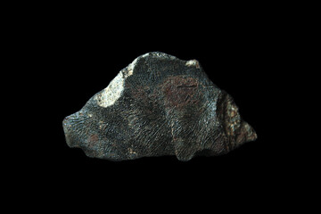 Meteorite Camel Donga, an Eucrite from Minor Planet Vesta, found on the Nullarbor Plain, Australia
