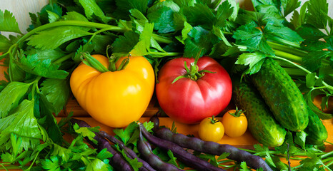 Fresh tomatoes and cucumbers on a wooden table with fresh parsley and celery greens. Red, yellow and green vegetables and beans.