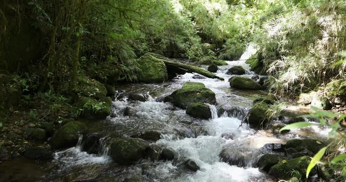 Small wild mountain river Rio Savegre. Stunning landscape of wilderness and pure nature. San Gerardo de Dota, Costa Rica.