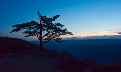 Sun setting over the mountains with crescent moon, clouds, silhouette and tree